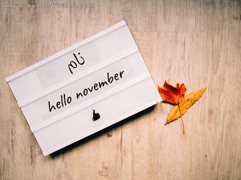آپ کا نام علی پوشیدہ ہے، نومبر میں خوش آمدید