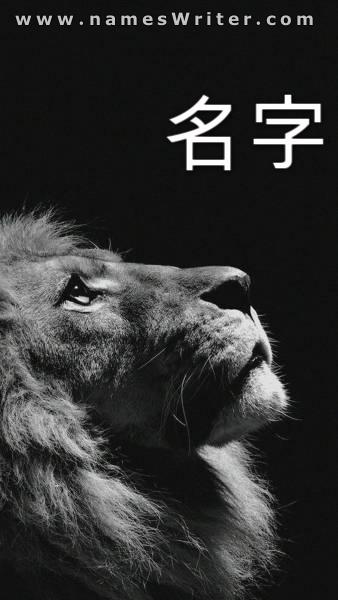黑色背景与狮子