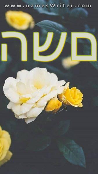 תמונה של השם עם ורדים צהובים