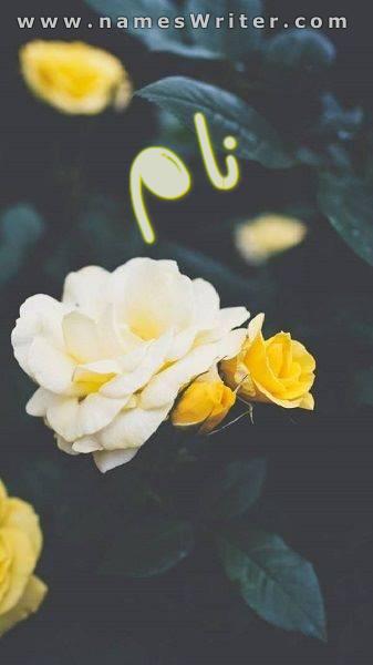 پیلے گلاب کے ساتھ نام کی تصویر