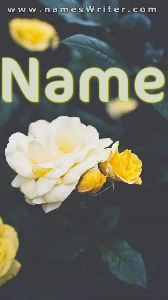 Bild des Namens mit gelben Rosen