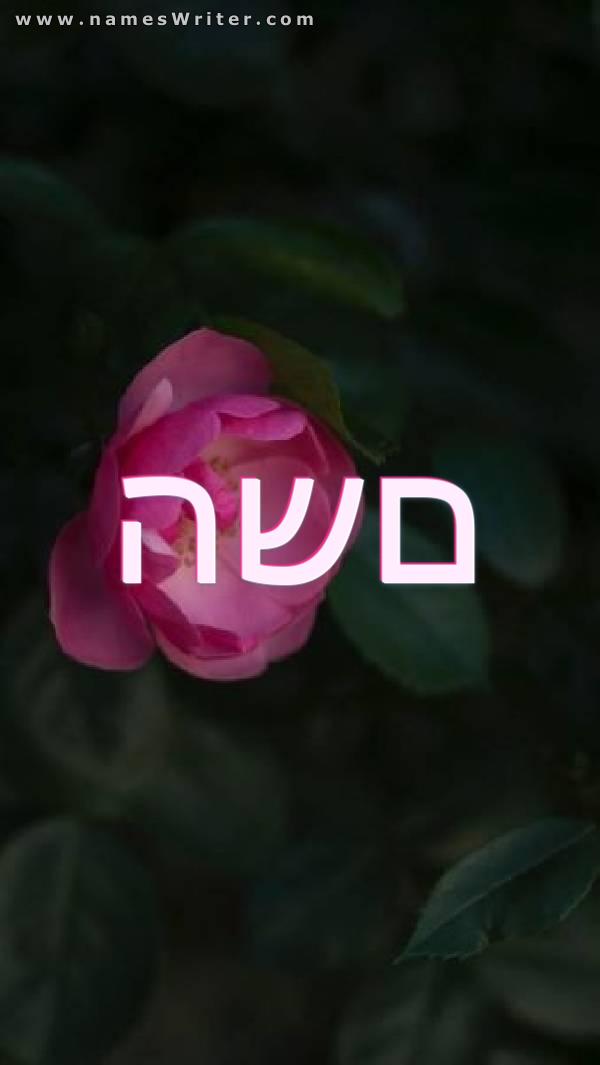 תמונה של השם עם ורד ורוד