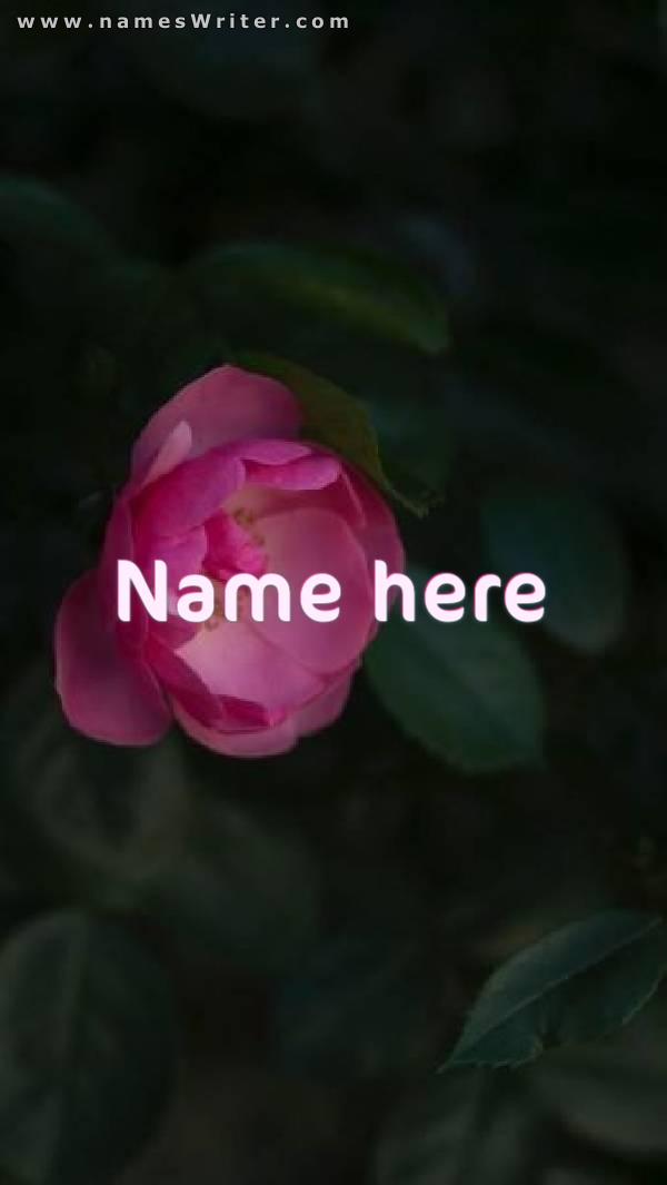 Picture of the name with a pink rose