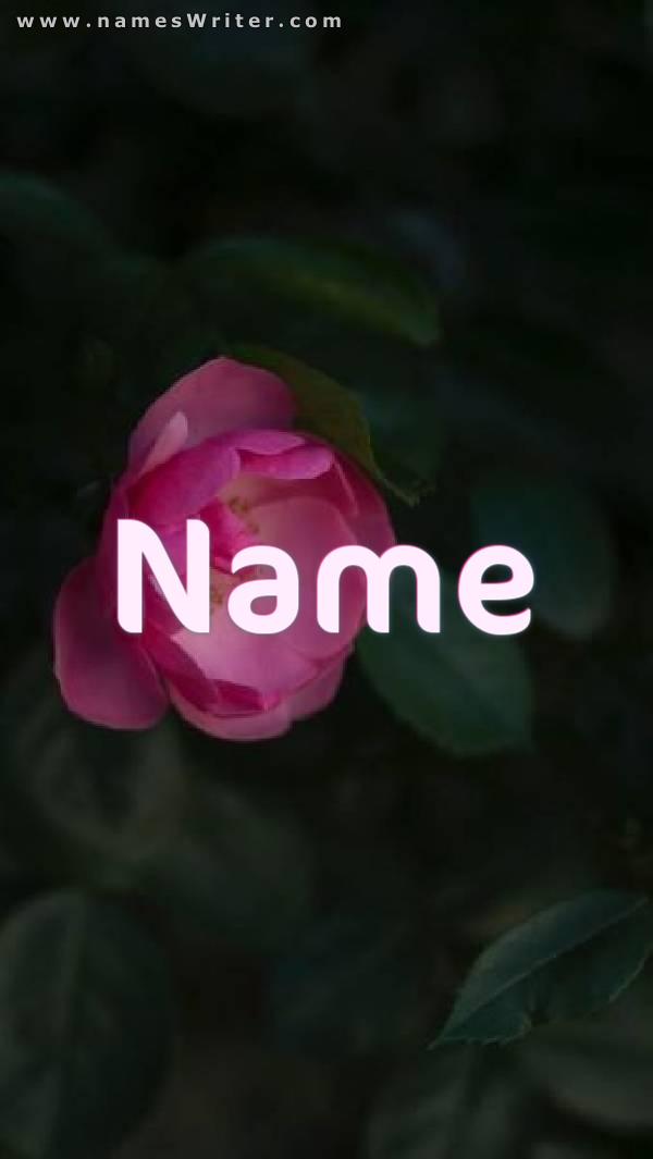Bild des Namens mit einer rosa Rose