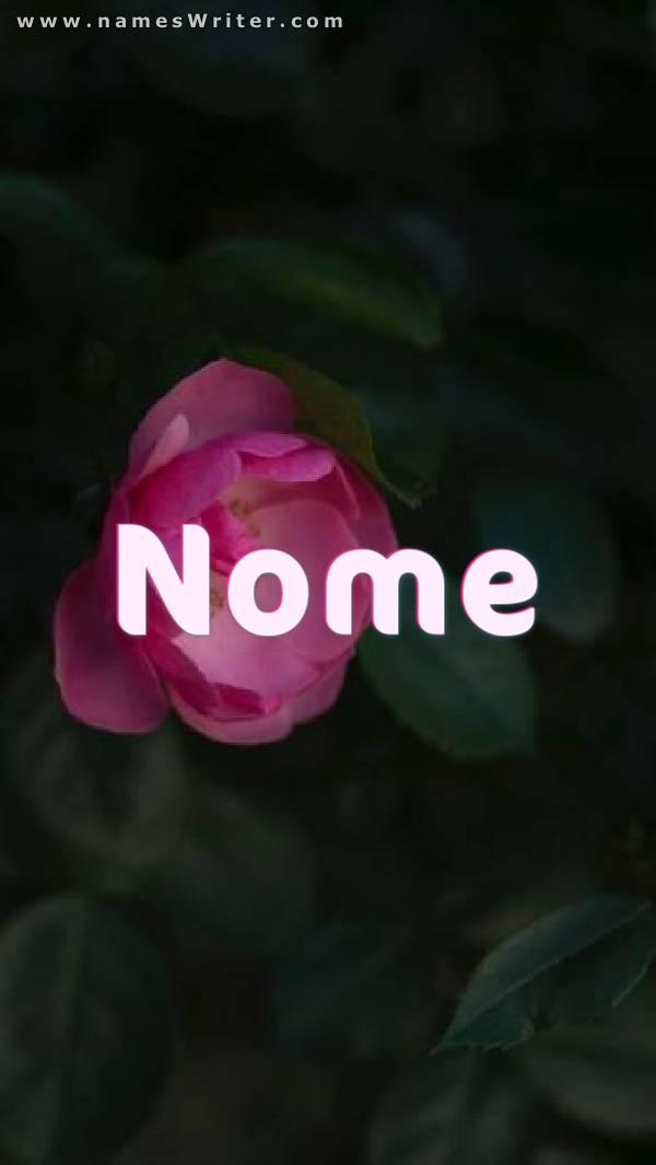 Immagine del nome con una rosa rosa