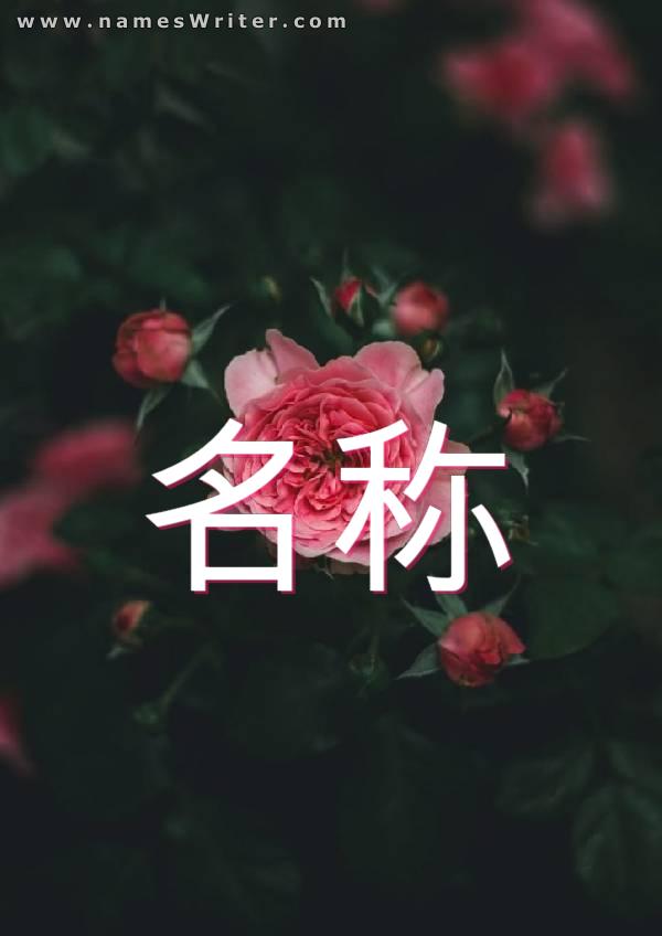 用粉红色的玫瑰粗体写在你的名字上