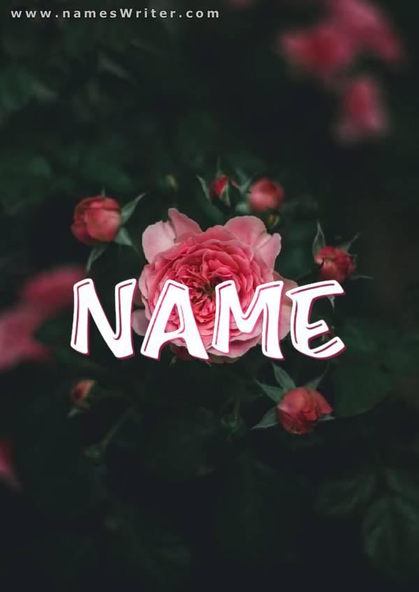 Schreiben Sie fett mit einer rosa Rose auf Ihren Namen