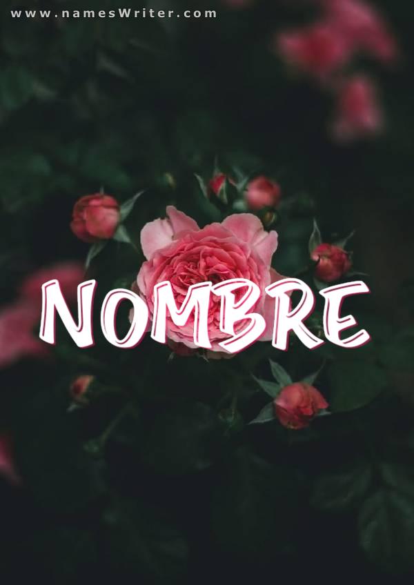 Escribir en tu nombre en negrita con una rosa rosa