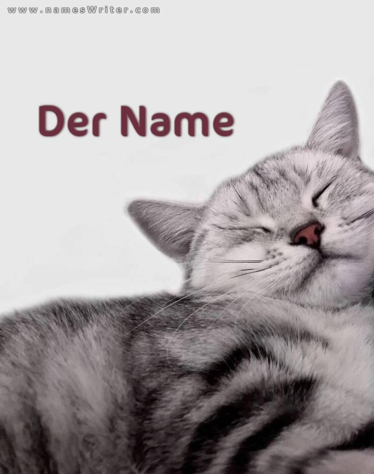 Ihr Name in einem Design für Katzenliebhaber