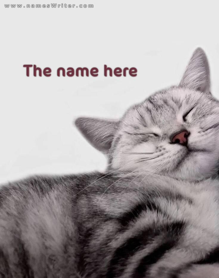 Your name inside a design for cat lovers
