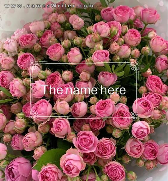 Write your name on a rose background