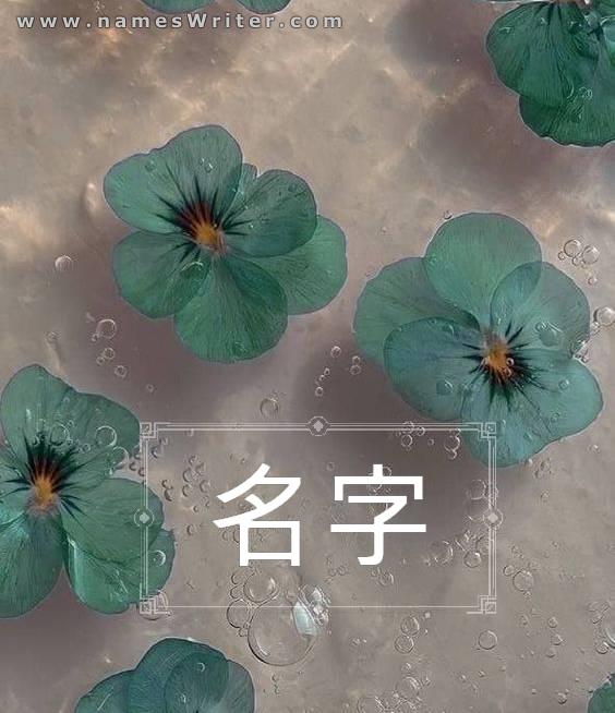 在玫瑰背景上写下你的名字