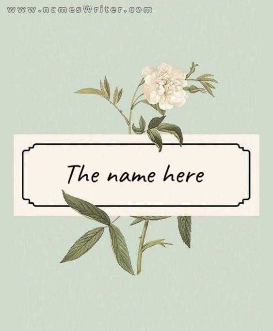 your name in a classy and distinctive design