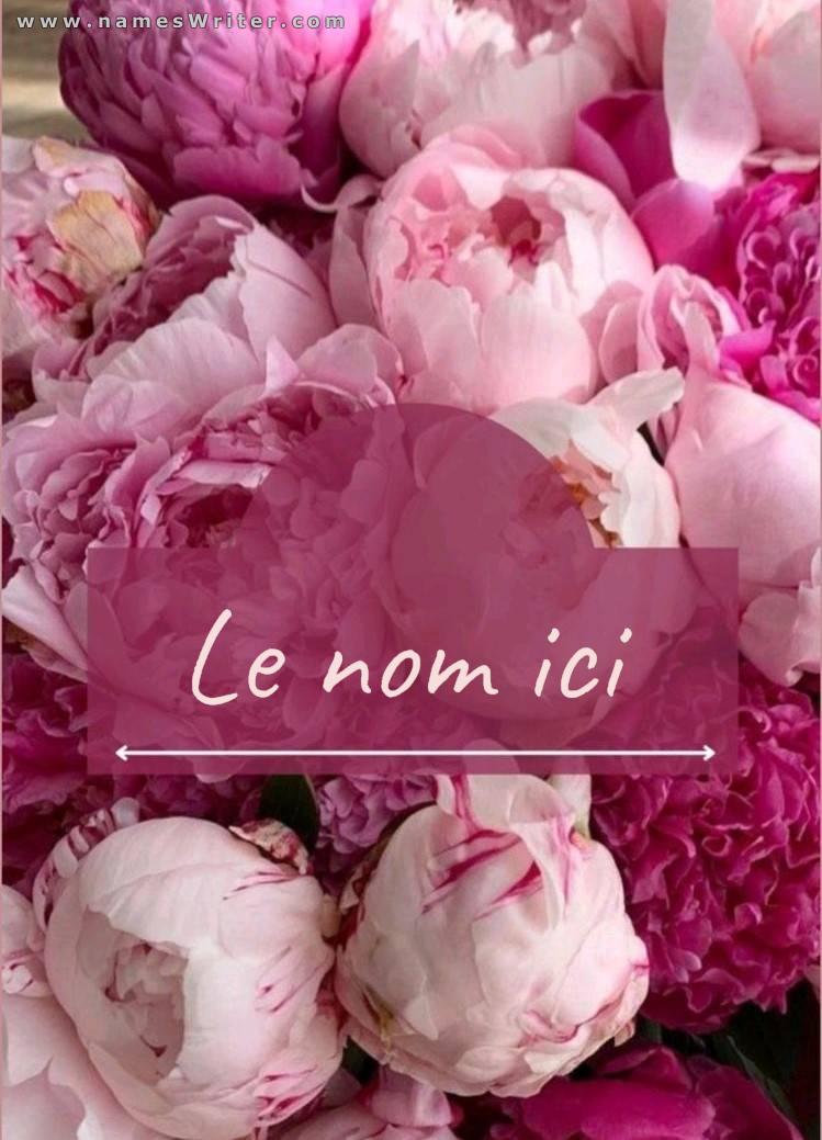 Écrivez votre nom sur un fond rose